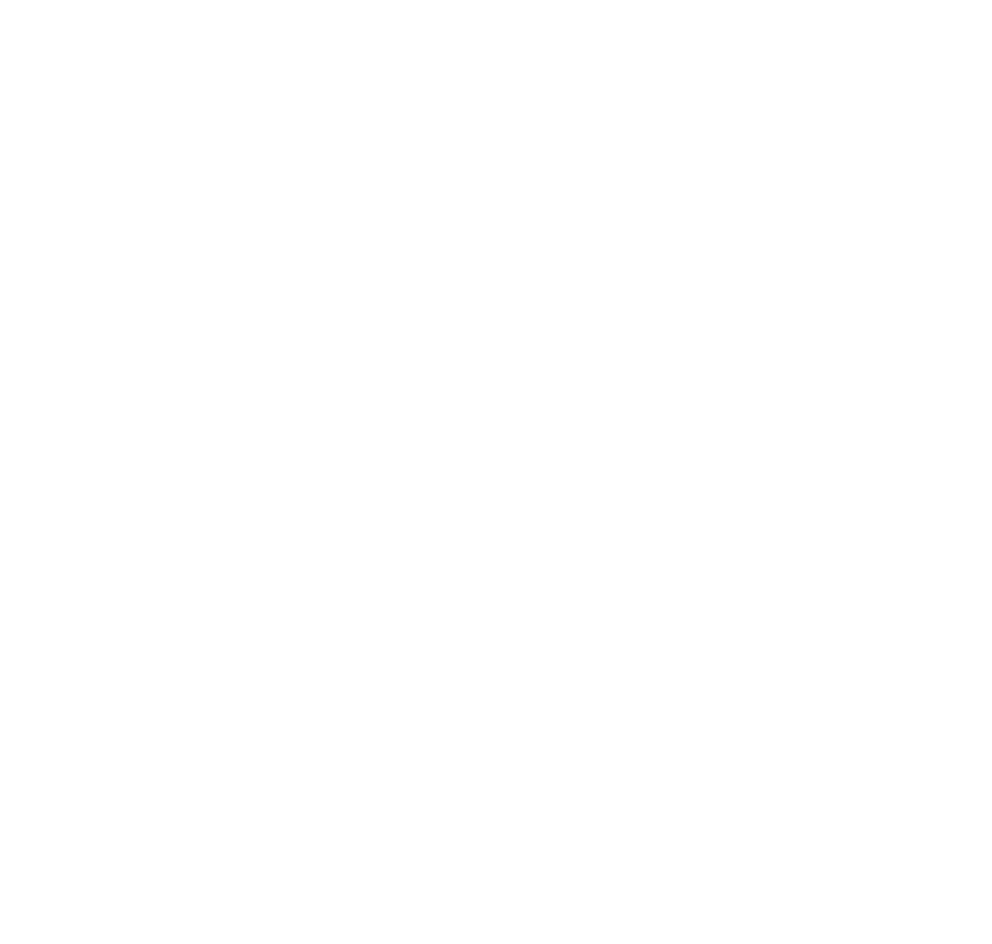 Orca